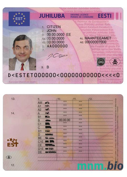 Szablon prawa jazdy w Estonii w formacie PSD, ze wszystkimi czcionkami